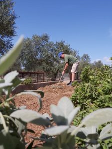 Setembre a Ses Oliveres