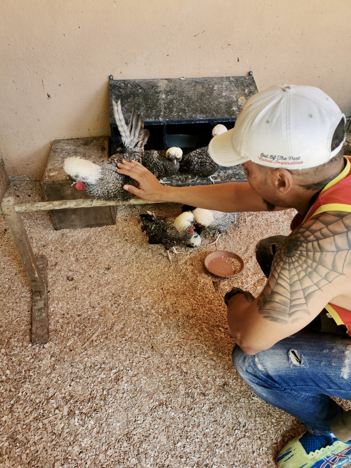 2024 Estiu serveis residencials (7)