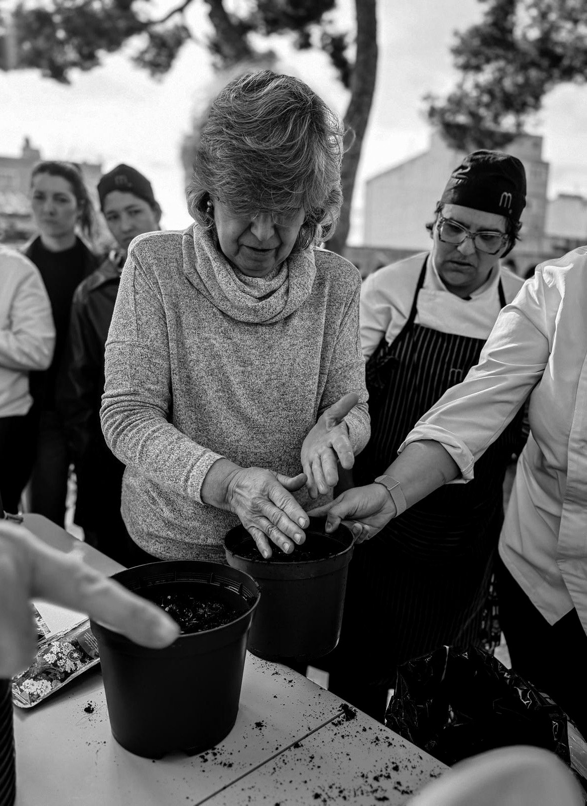 5b1cab3a-43e4-416b-985c-209809713f80