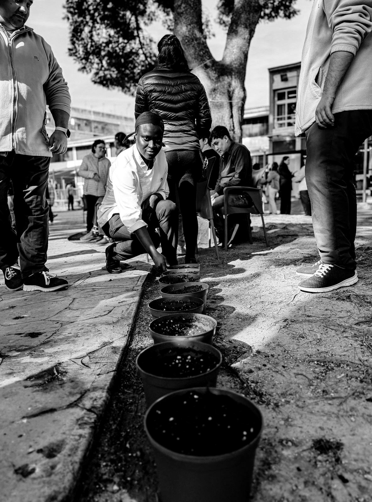 db979940-1127-4f0e-9019-deff62616b83